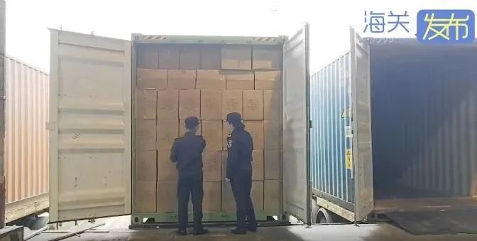 巨額罰款！20噸